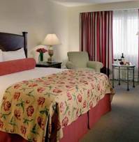 Hilton hotel room