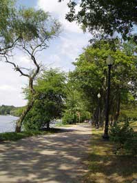 Jamaica Pond